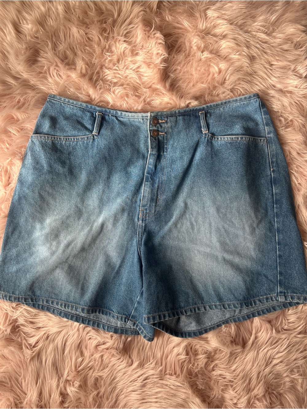 Y2K 100% Cotton Venezia Light Blue High-Rise Denim Shorts Plus Size 20